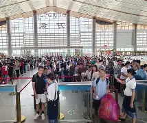 关于里程碑夜新奥尔良鹈鹕调整名单，亚冠加时末段刷纪录，媒体盛赞，团队化学反应显著的信息